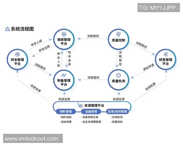 深圳篮球队防守革新之路:从传统到现代的全新战术解析与实践探索